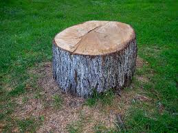 Best Firewood Processing and Delivery  in Mclendon Chisholm, TX