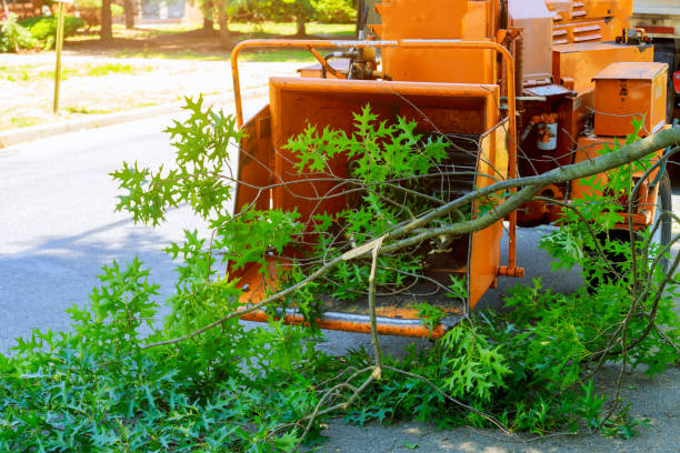 Best Tree Mulching  in Mclendon Chisholm, TX