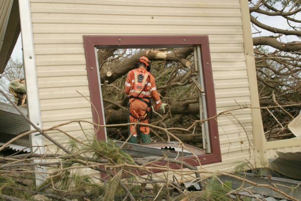 How Our Tree Care Process Works  in  Mclendon Chisholm, TX