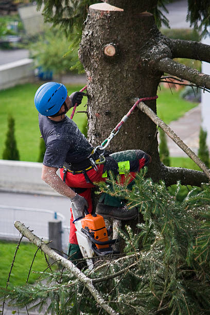 Best Aeration Services  in Mclendon Chisholm, TX